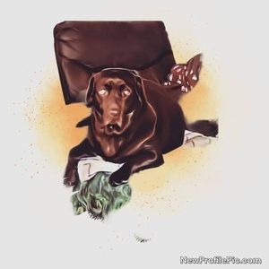 Meet your Posher, Sandy